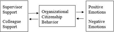 Daily Dynamics of Teachers’ Organizational Citizenship Behavior: Social and Emotional Antecedents and Outcomes